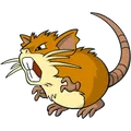 Alolan Raticate