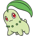 Chikorita