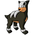 Houndour