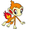 Panflam