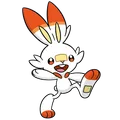 Scorbunny