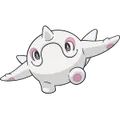 Cetoddle