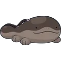 Clodsire