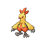 Combusken game sprite